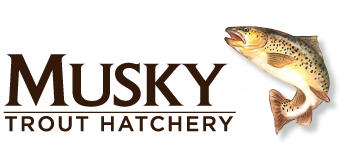 Musky Trout Hatchery